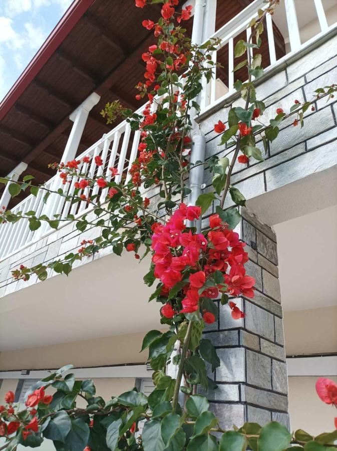 אספרובלטה Bella Terra Nature Living מראה חיצוני תמונה